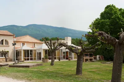 a house with two trees in front of it at VTF Les Florans in Bédoin