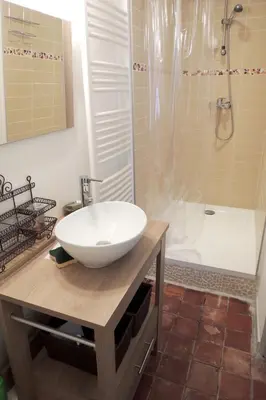 a bathroom with a white sink and a shower at Maison charmante à Modène avec piscine privée in Modène
