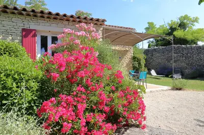 a bush of pink flowers in front of a house at Au bastidon de Gordes in Gordes