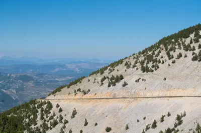 a mountain with trees on the side of it at Les Terrasses de Cascavelle in Blauvac