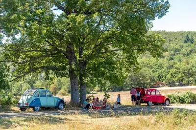 people sitting under a tree near two old cars at Les Terrasses de Cascavelle in Blauvac