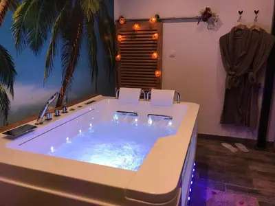 a jacuzzi tub in a bathroom with a palm tree at Le Mas Romantique avec Jacuzzi et Sauna privé in Sénas