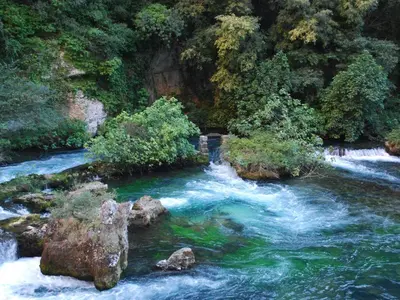 a river with rocks in the middle of a forest at Villa in Saumane near Golf Course and Pool in Saumane-de-Vaucluse