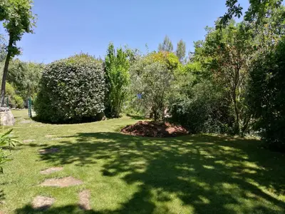 a large yard with trees and a large shadow at Les Restanques in Goult
