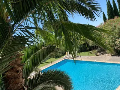 a palm tree next to a blue swimming pool at Domaine La Condamine CRILLON LE BRAVE in Crillon-le-Brave