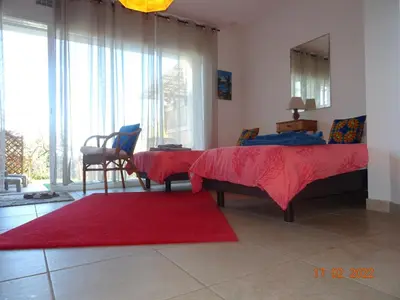 a bedroom with two beds and a red rug at Les Ecrins d'Aix-en-Provence in Aix-en-Provence
