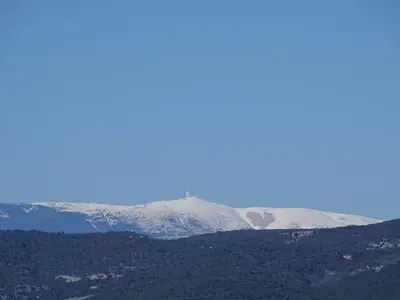 a snow covered mountain in the distance with trees at La Louvière des Bruyères in Robion en Luberon