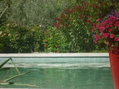 a swimming pool with flowers and a vase of flowers at Le Paradis in Vaugines