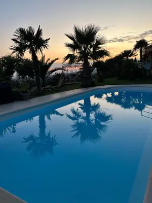 a pool with palm trees and a sunset in the background at La Thomalie in Crillon-le-Brave