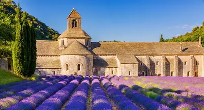 a church with purple flowers in front of a building at BlueBird in Cavaillon