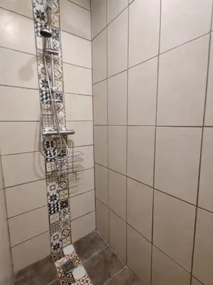 a shower in a bathroom with tiled walls at Chambre d'hôtes du Charme Provençal in Sénas