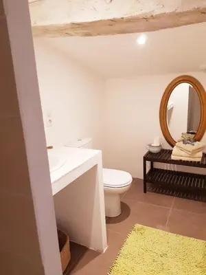 a bathroom with a white toilet and a mirror at Chambres entre Ventoux et luberon in Sault-de-Vaucluse