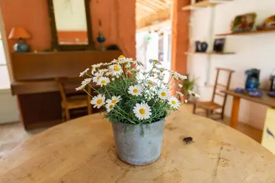 a vase of flowers sitting on top of a table at Poterie de Pierroux in Roussillon