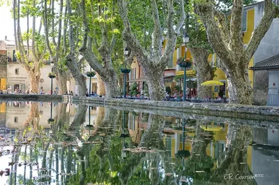 a reflection of trees in a body of water at La Bastide des Vasses l'Atelier in Cucuron