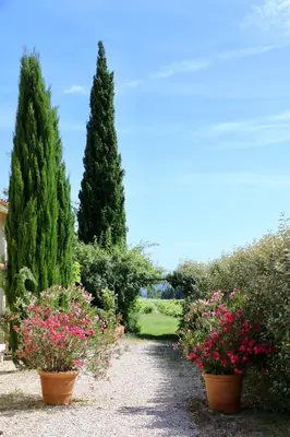 a garden with two large trees and flowers in pots at La Bastide des Vasses 