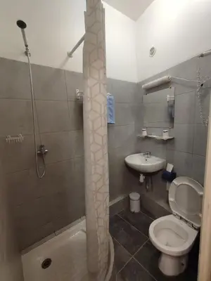 a bathroom with a shower and a toilet and a sink at Hotel Régina in Salon-de-Provence