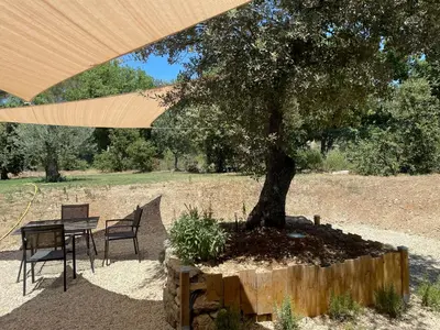 a table and chair under a tree in a field at Mas la Chêneraie Lourmarin - Au calme, à 10 mn du centre ville à pied in Lourmarin