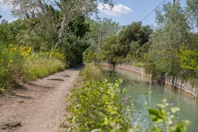 a dirt road next to a river with flowers at In Elsama piscine chauffée in LʼIsle-sur-la-Sorgue