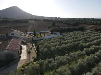 an aerial view of a building and a field of trees at Domaine de Villemus in Jouques