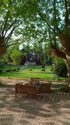 two benches sitting under a tree in a park at Mas de Karlotte in Pernes-les-Fontaines