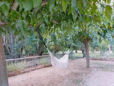 a hammock hanging from a tree in a park at Rêve d’Emma in Plan-dʼOrgon