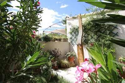 a garden with a ladder on a wall with plants at Villa Melodie St Remy 6HA Piscine in Saint-Rémy-de-Provence