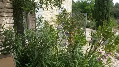 a garden with plants and a chair in a yard at Le Logis in Gordes