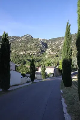 a street with trees and a mountain in the background at L'Oustalado in Maubec