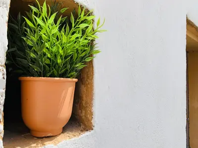 a plant in an orange pot sitting next to a wall at Montclar Studio in Aix-en-Provence