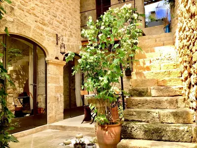 a plant in a large pot next to a building at Un Patio en Luberon in Ansouis