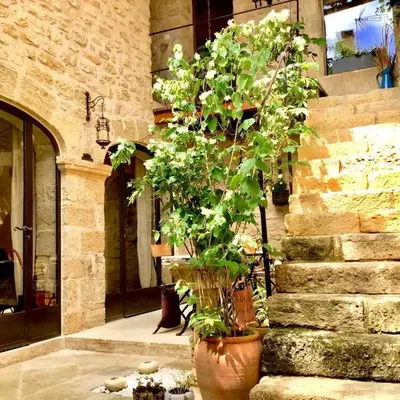 Un Patio en Luberon
