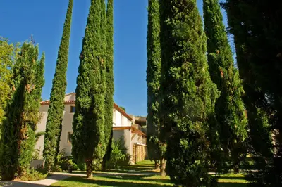 a row of cypress trees in front of a building at Résidence Goélia Le Domaine du Moulin Blanc in Gordes