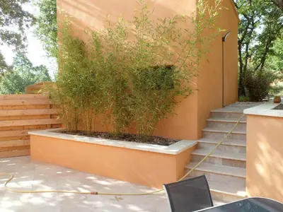 a plant in a planter on the side of a building at Villa Célestine in Roussillon