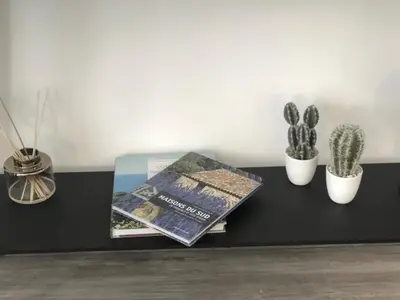 a table with a book and cactus and potted plants at Appart Hôtel Cézanne in Aix-en-Provence