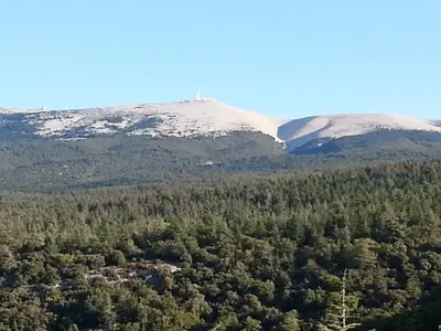 an aerial view of trees and snow covered mountains at Chambres d'Hôtes de Curnier in Bédoin