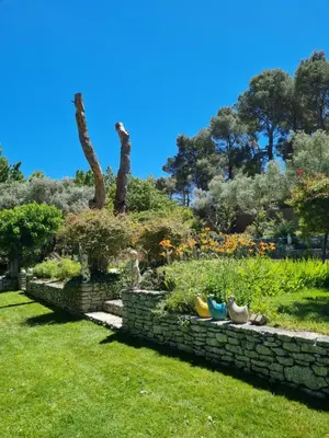 a garden with a stone wall and some plants at Le Mas des Anges in Cheval-Blanc