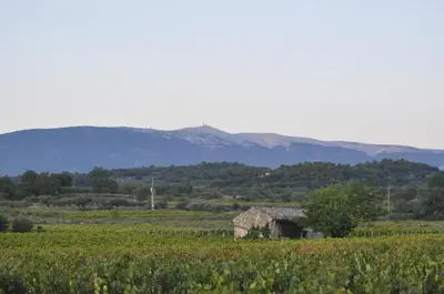 an old barn in a field with mountains in the background at Le Mas de Plein Pagnier in Mazan