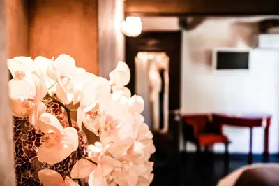 a bunch of white flowers in a vase at Le Mas de la Lombarde in Lourmarin
