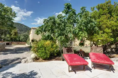 two chairs with red cushions sitting next to a tree at Les Gargoulettes in Lauris