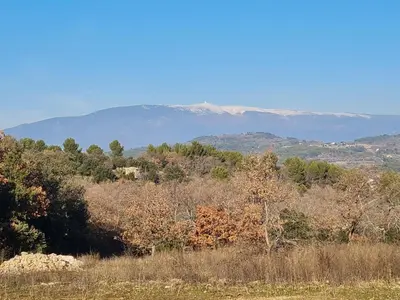 a view of a forest with mountains in the background at Escapades en Ventoux in Venasque