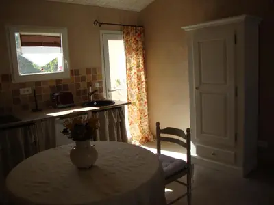 a kitchen with a table with a vase on it at La Guéritaulde in La Tour-dʼAigues