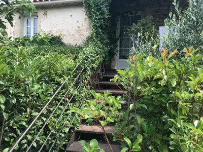 a set of stairs in front of a house with plants at Lou mas li Pitchoun 