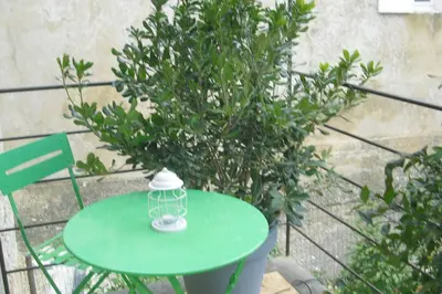 a green table with a bird cage on it next to a plant at Lou mas li Pitchoun 