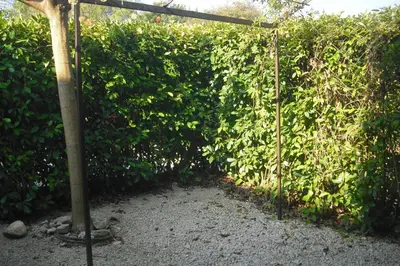 a metal gate in front of a hedge at Lou mas li Pitchoun 