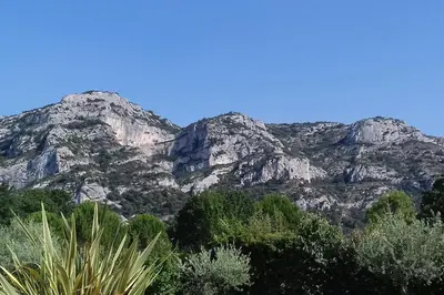 a group of mountains with trees in front of them at La petite maison avec piscine face au Luberon in Robion en Luberon