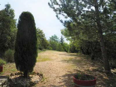 a tree in the middle of a dirt road at Chalet by Mont Ventoux with Stunning Views in Bédoin