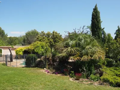 a garden with a palm tree in a yard at Premium villa with garden and pool, Lambesc in Lambesc
