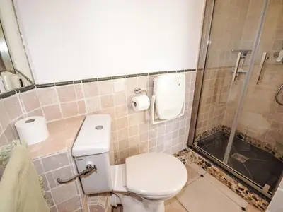 a bathroom with a toilet and a shower at Holiday Home Les Cairnes by Interhome in Viens