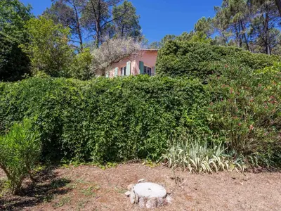 a sheep standing in front of a large hedge at Holiday Home Les Ecureuils by Interhome in Saint-Pantaléon
