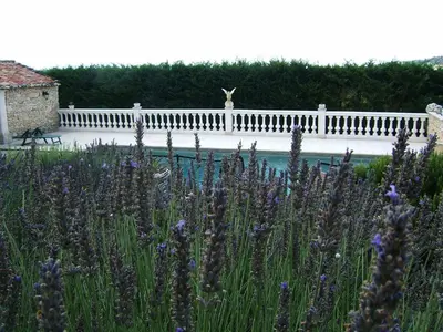 a garden with purple flowers and a white fence at La Bastide des Raisins in Apt